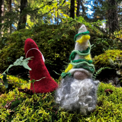 Hustomte sommar och vinter