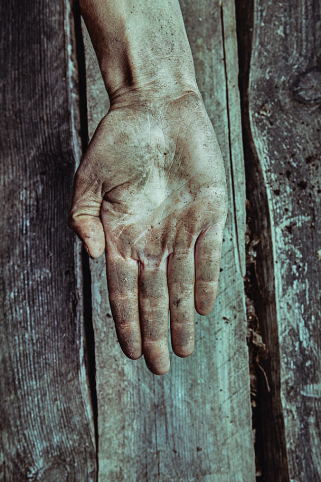 Drottning av Bredfjället 4