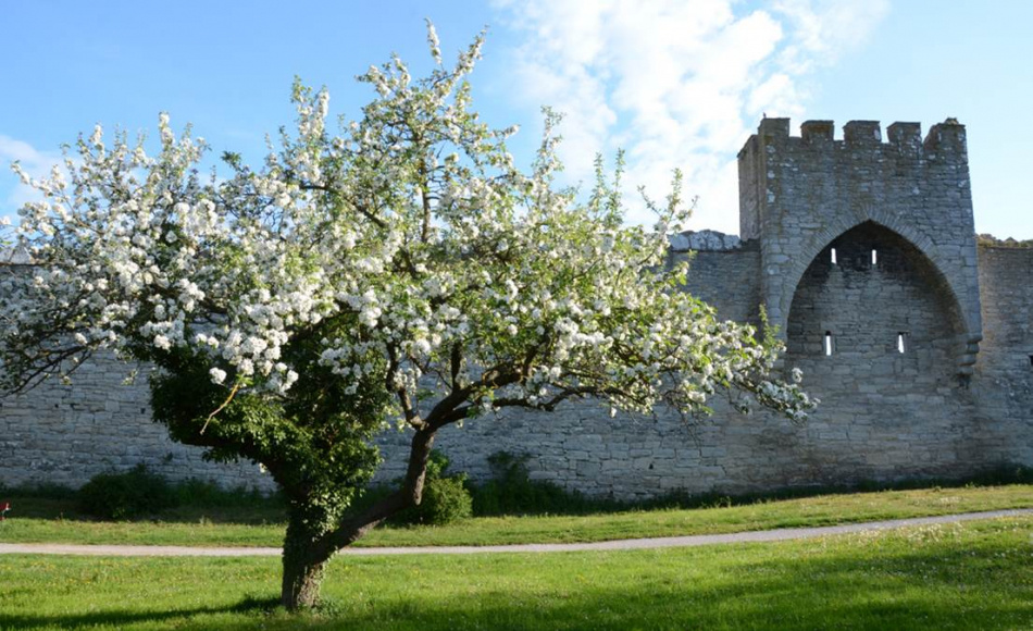 Visby innanför murarna 2