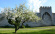 Visby innanför murarna Visby innanför murarna 2