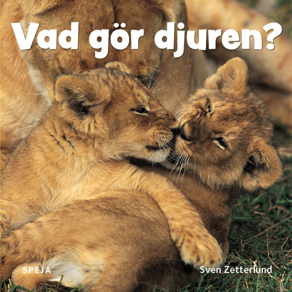 Vad gör djuren?