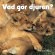 Vad gör djuren? Vad gör djuren?