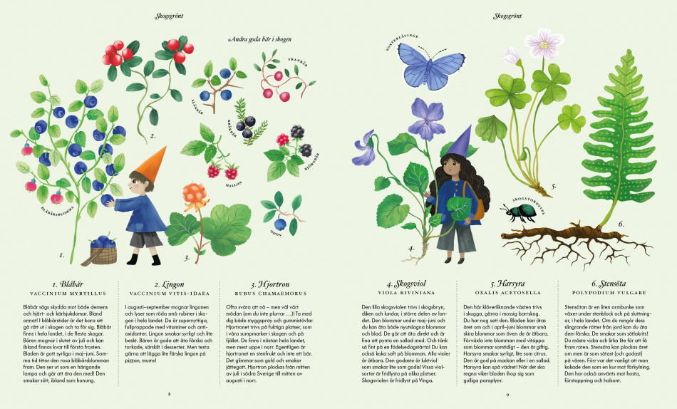 Lilla ätbara floran