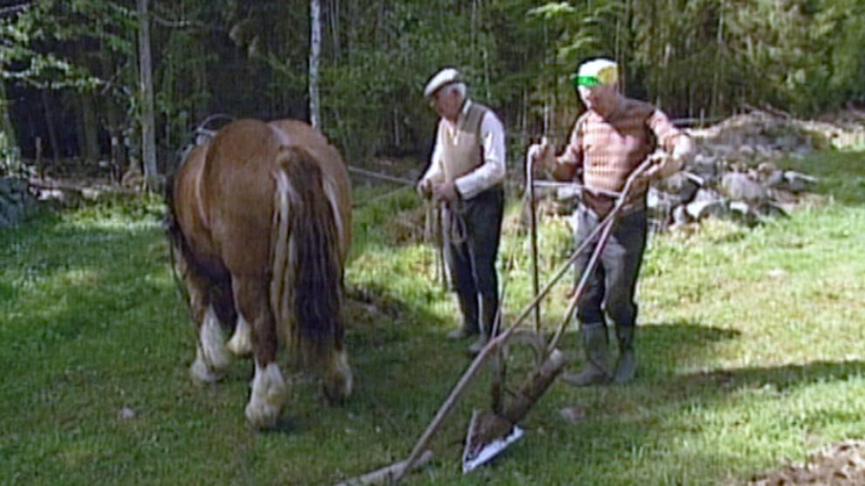 Erik & Sigvard - Ett liv nära jorden och djuren  4