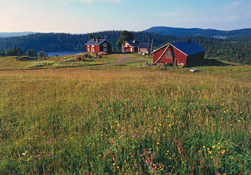 Fjällbondens avsked - Sista fjällägenheterna (nyutgåva) 3
