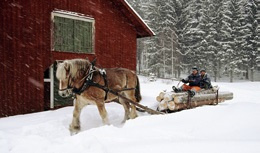 Lennart Fröding Livet på gården