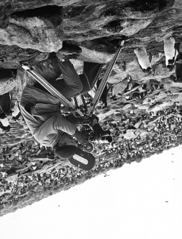 Med kamera om halsen : Sven Gillsäter, naturfotograf och världsresenär 3