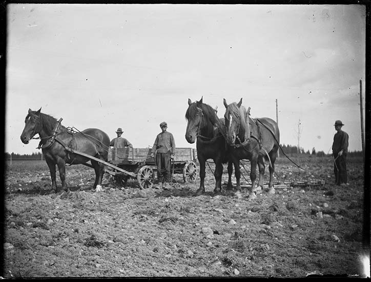 Isaryd Det var inte längesen