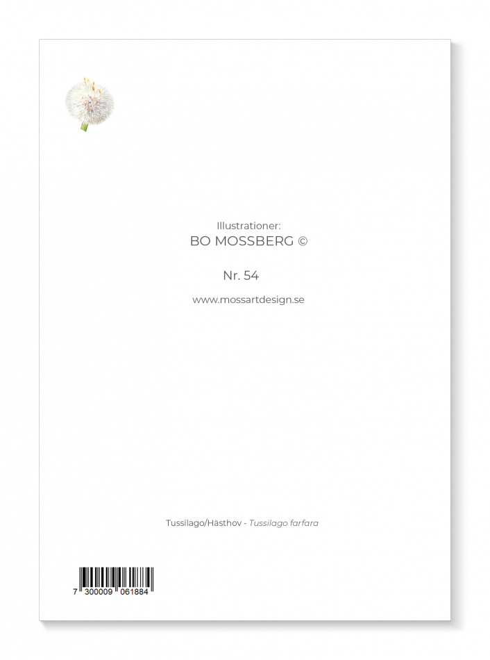 Kort Tussilago/hästhov 2