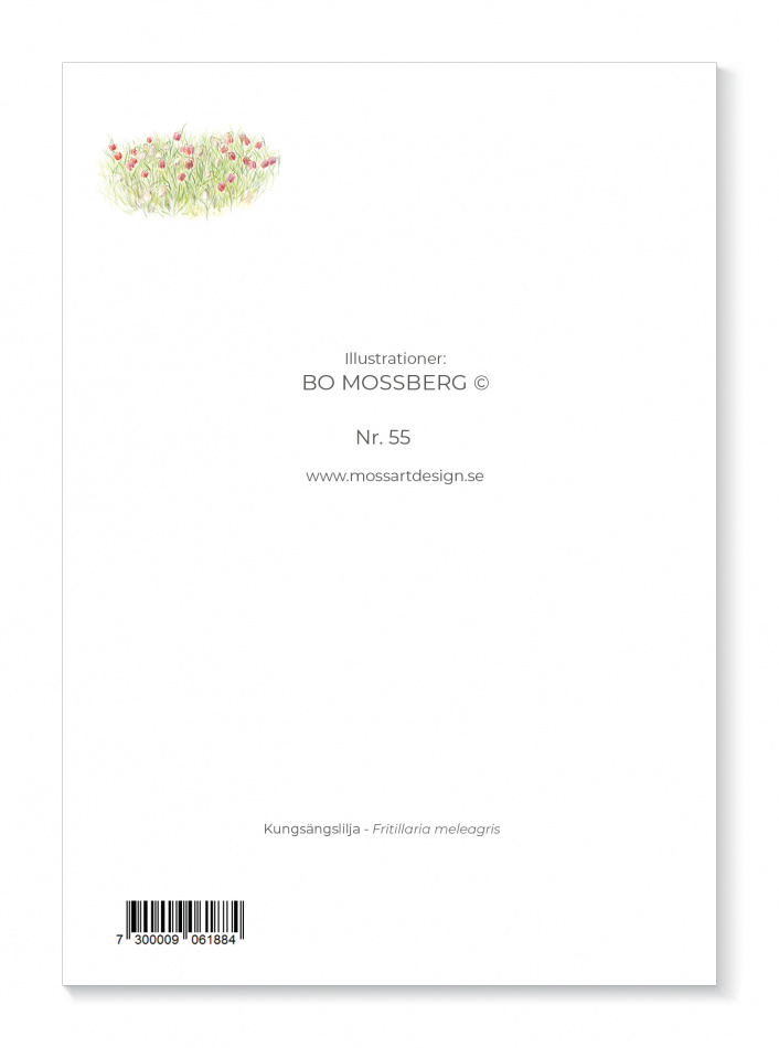 Kort Kungsängslilja 2