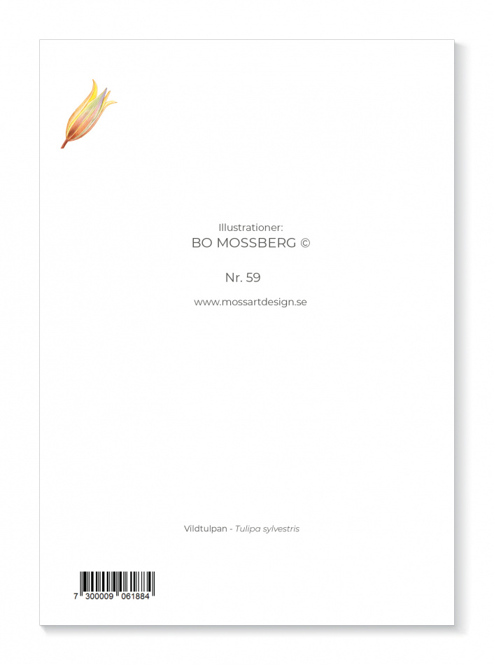 Kort Vildtulpan 2