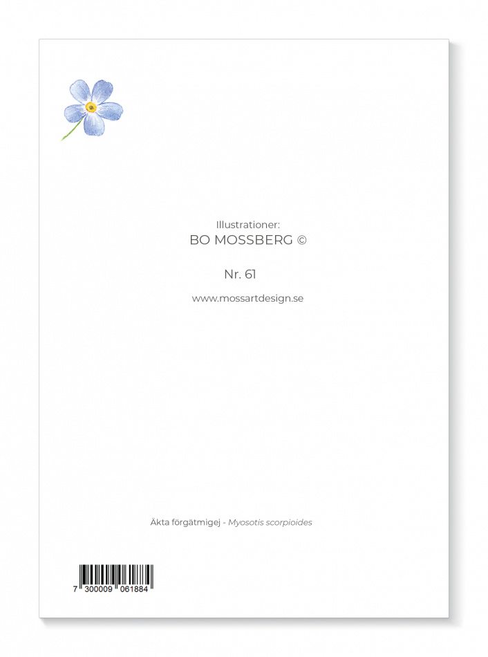 Kort Förgätmigej 2