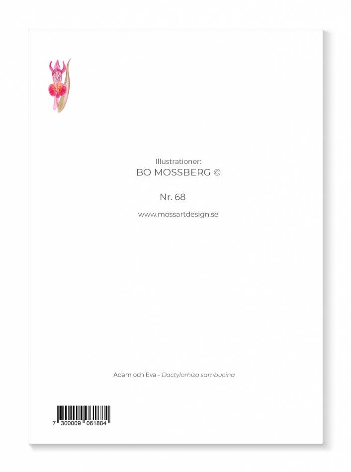 Kort Adam och Eva 2