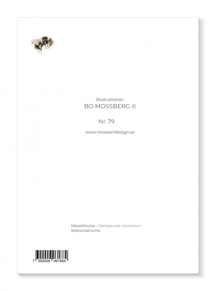 Kort Nässelklocka