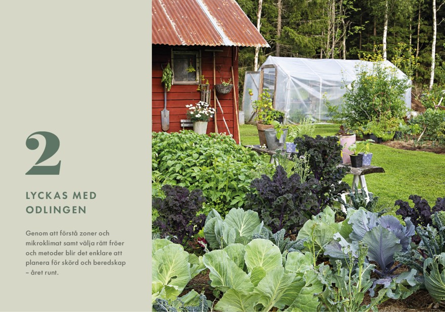 Beredskapsodling. Fyll matförrådet för vardag och kris