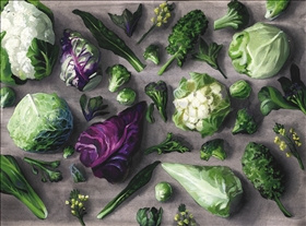 SKÖRDA, LAGRA, LAGA