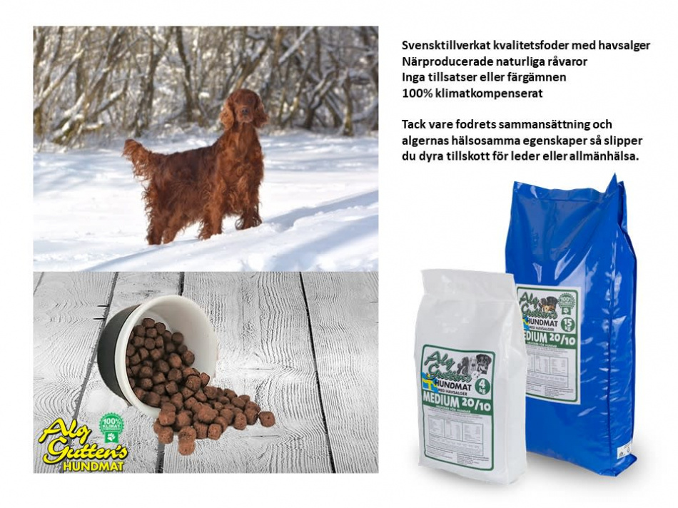 Hundfoder - MEDIUM 20/10, noga utvalda råvaror 2