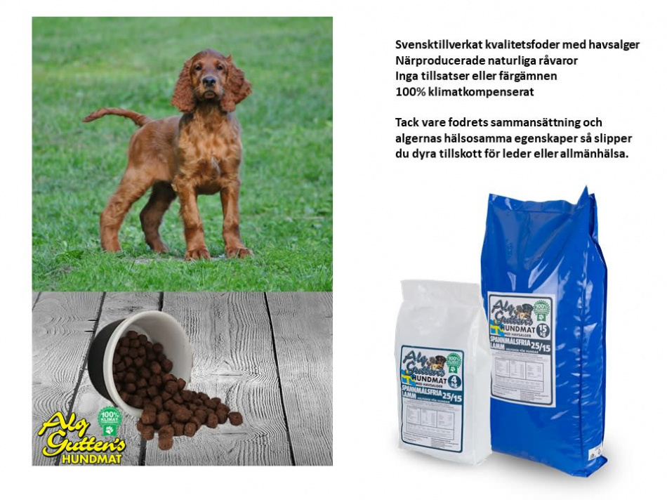 SPANNMÅLSFRIA LAMM 25/15, Superpremium  2