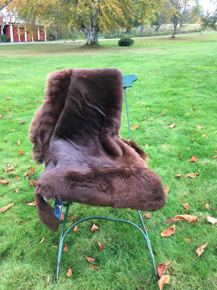 Svenskt lammskinn brunt klippt - eko 2