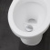 EcoFlush - urinsorterande och snålspolande toalett 