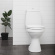 EcoFlush - urinsorterande och snålspolande toalett 