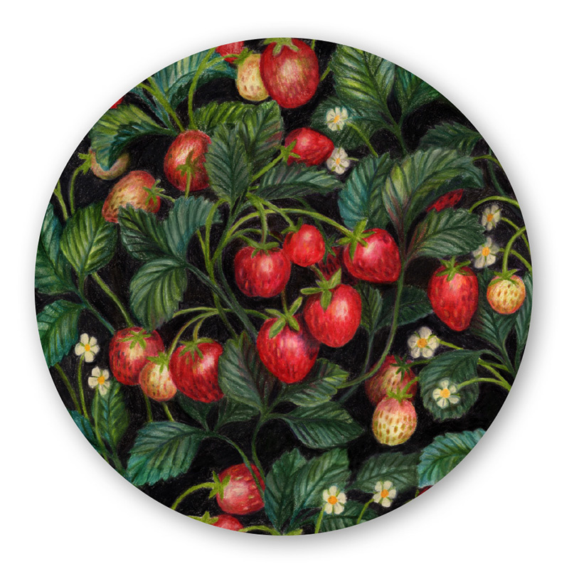 Grytunderlägg Jordgubbslandet