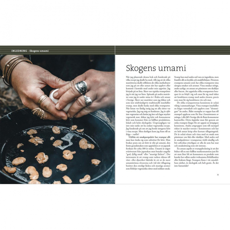Svampbok för matälskare 2