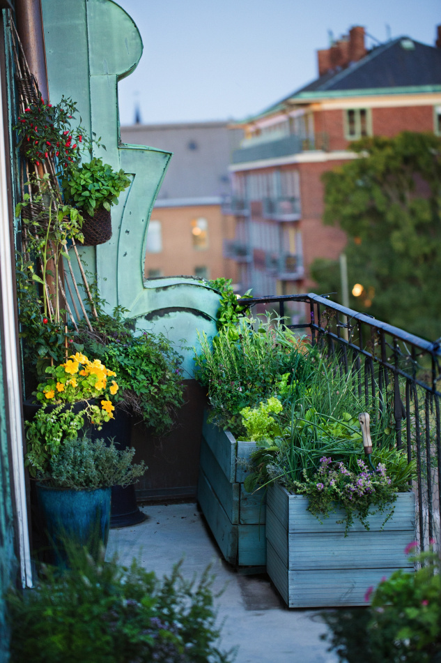 Rätt ur jorden : Handbok i självhushållning