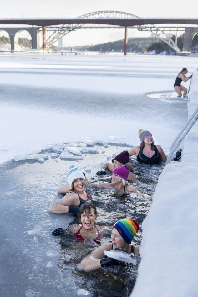 Vinterbad : En handbok 2