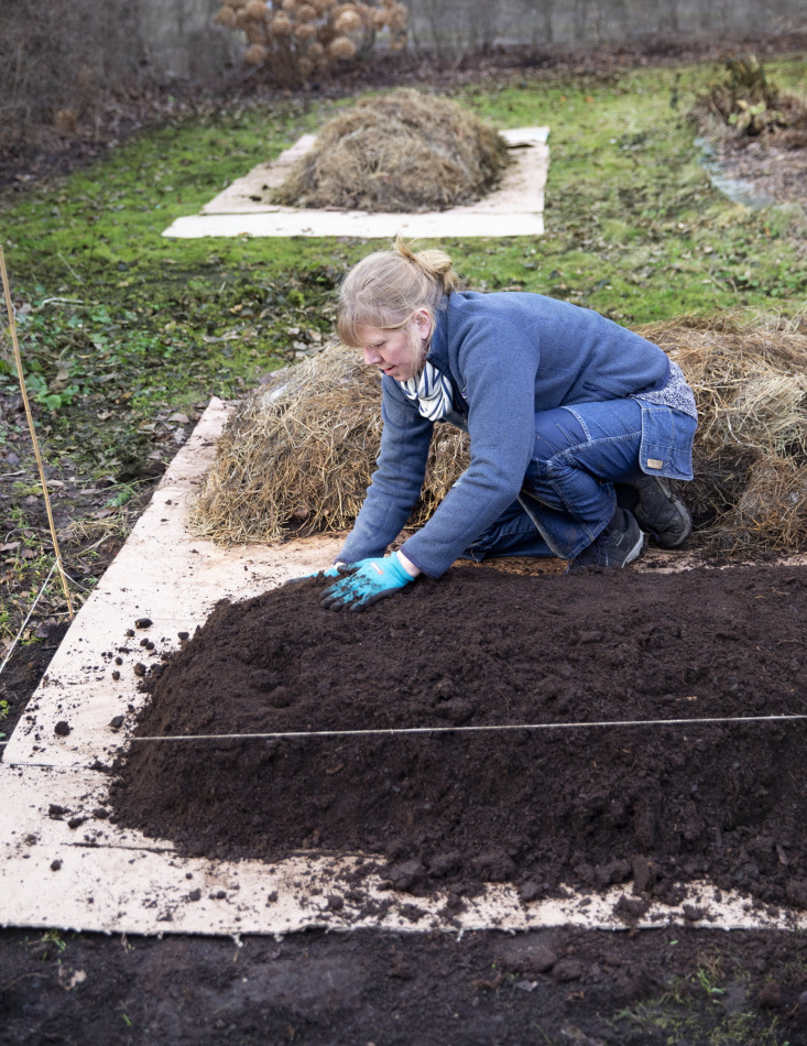 Odla utan spade: Lättskött & klimatsmart köksträdgård