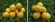 Rondo Rosenkvitten Rondo Rosenkvitten