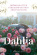 Dahlia : drömrabatter, färgkomposition och arrangemang