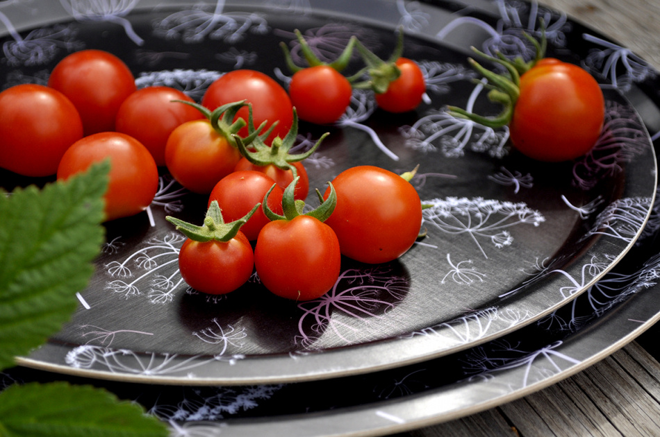 Bricka, Hundkex 38 cm Ø 3