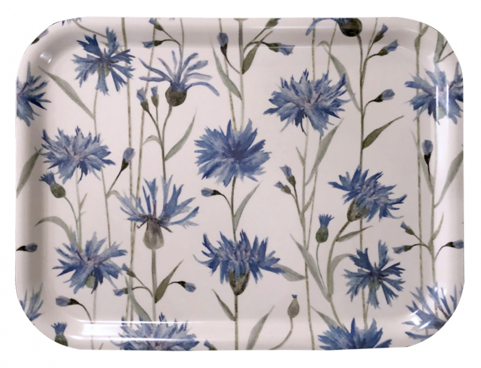 Bricka, Blåklint 20x27 cm