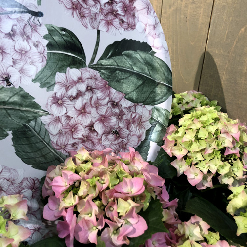 Bricka, Hortensia Dusty Rose 38 cm