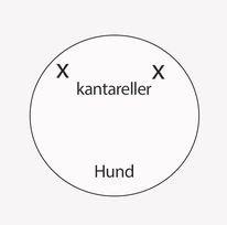 Skisser som förklarar