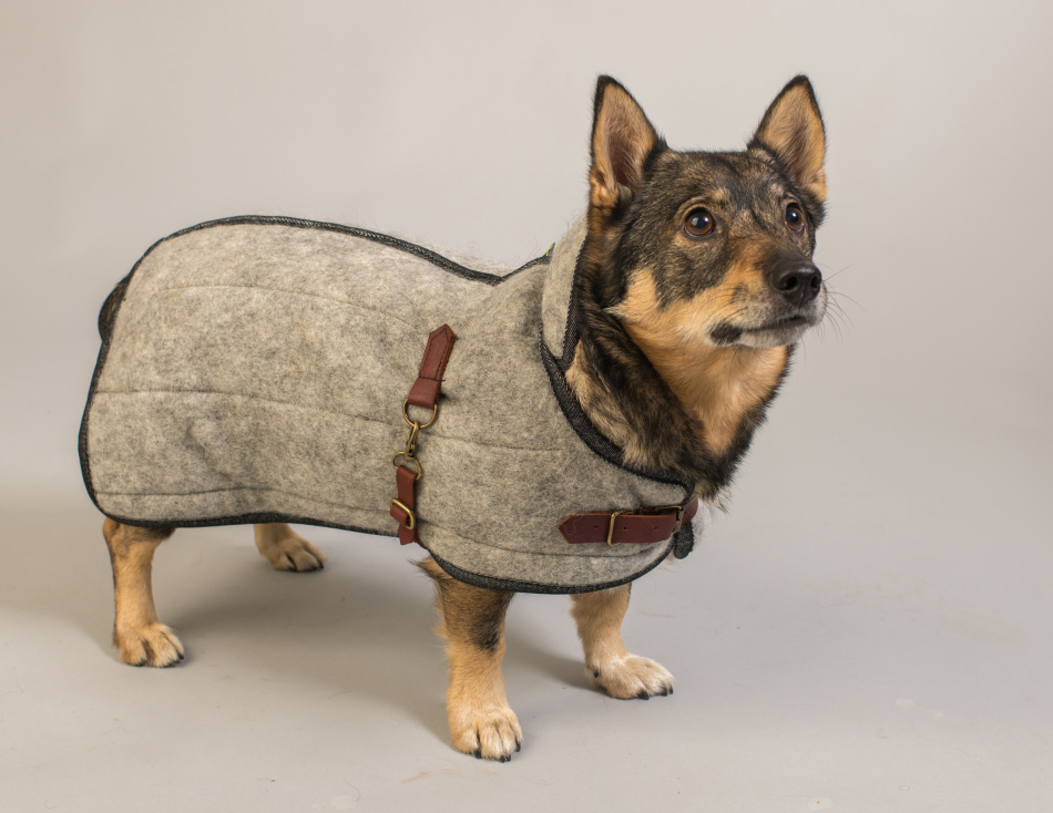 Maggjord fäst enkelt med spänne, justerbart vid boen