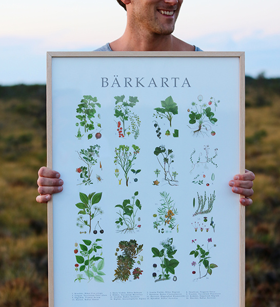 Poster Bärkarta 2
