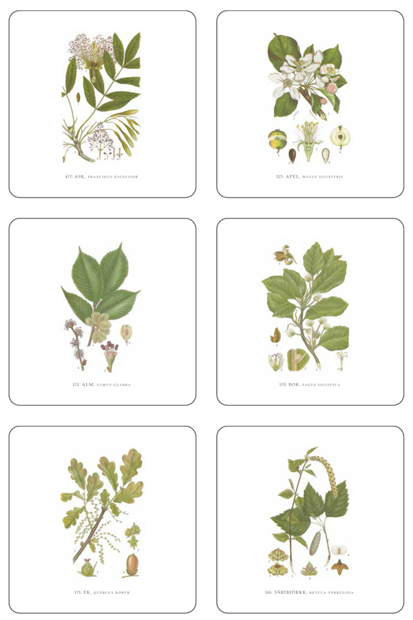 Glasunderlägg Träd 2