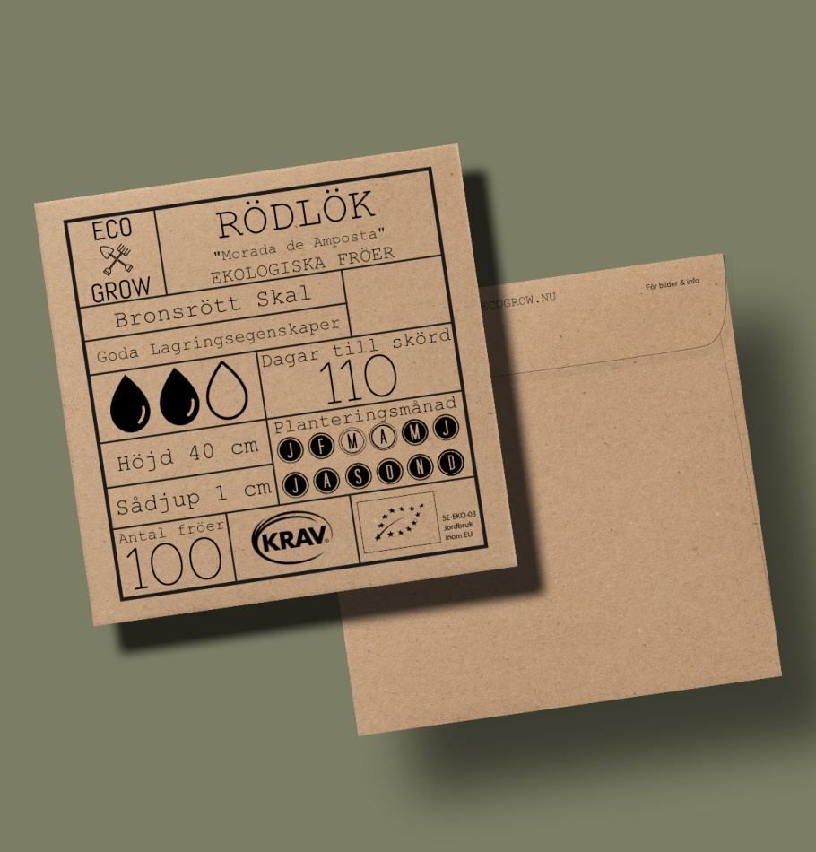 Rödlök - Morada de Amposta Ekologiska Fröer Online