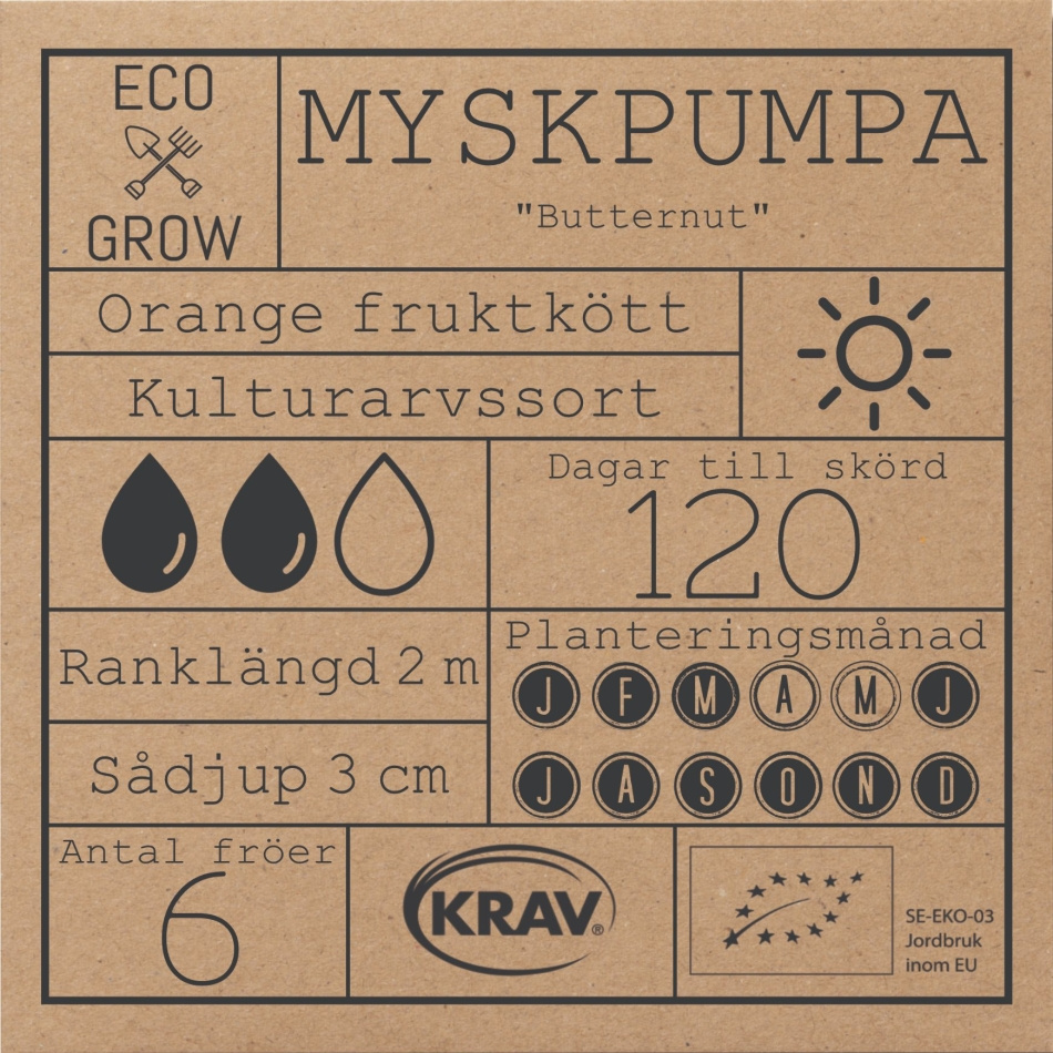 Myskpumpa - Butternut