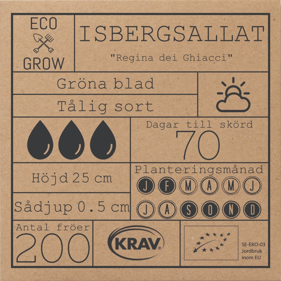 Isbergsallat - Regina dei Ghiacci