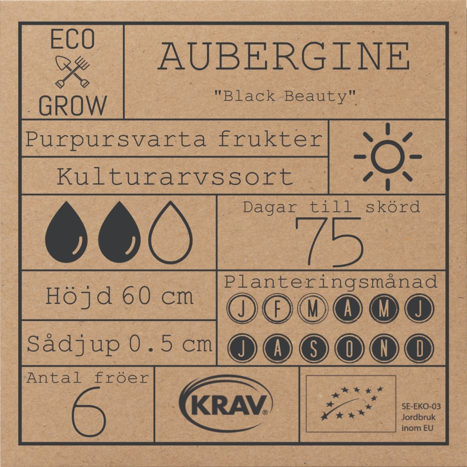 Aubergine - Black Beauty