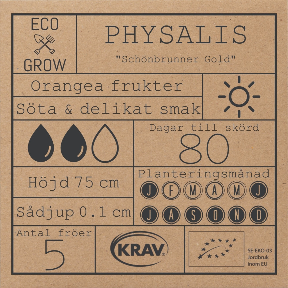 Physalis - Schönbrunner Gold