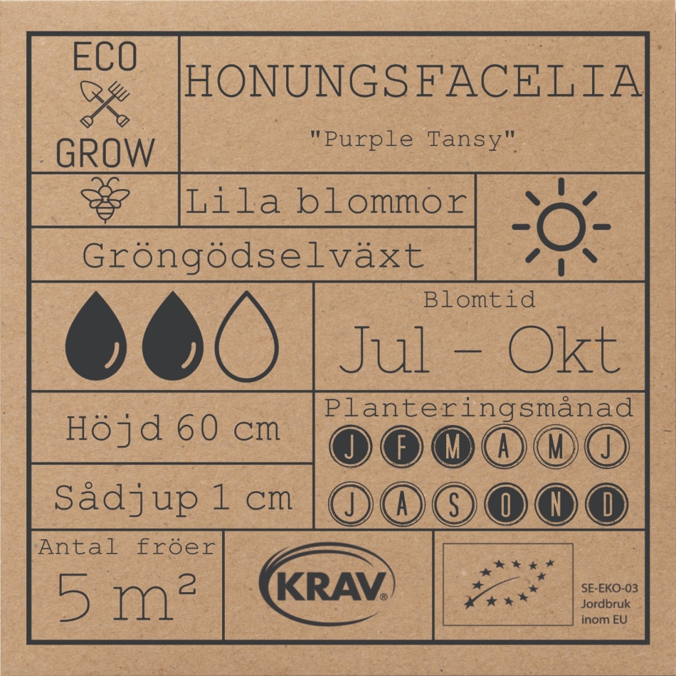 Honungsfacelia - Purple Tansy
