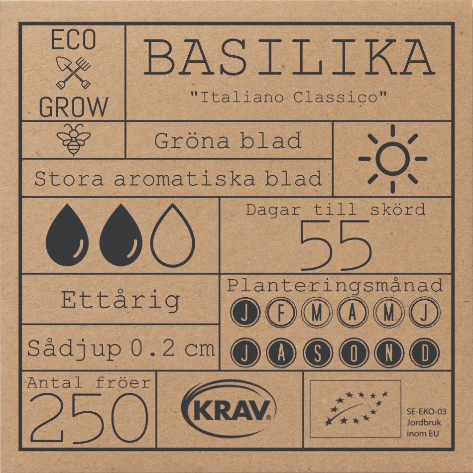 Basilika - Italiano Classico