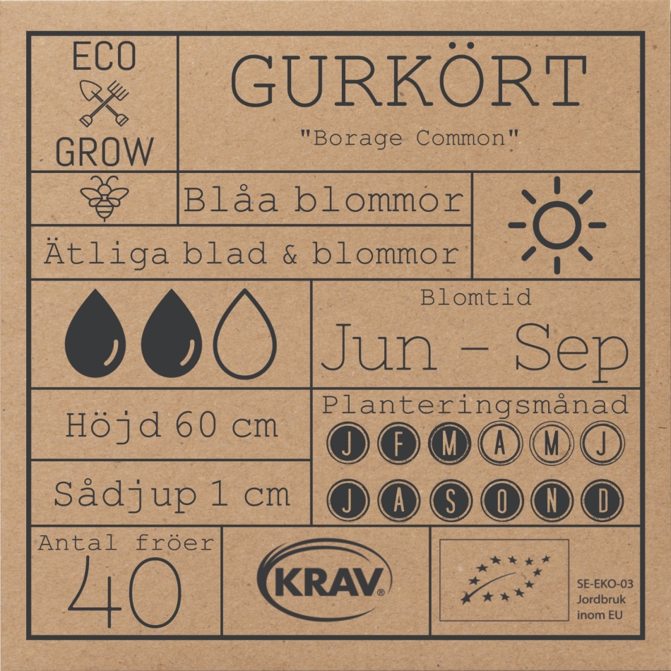 Gurkört - Borage Common Fröer Online - Örtväxt
