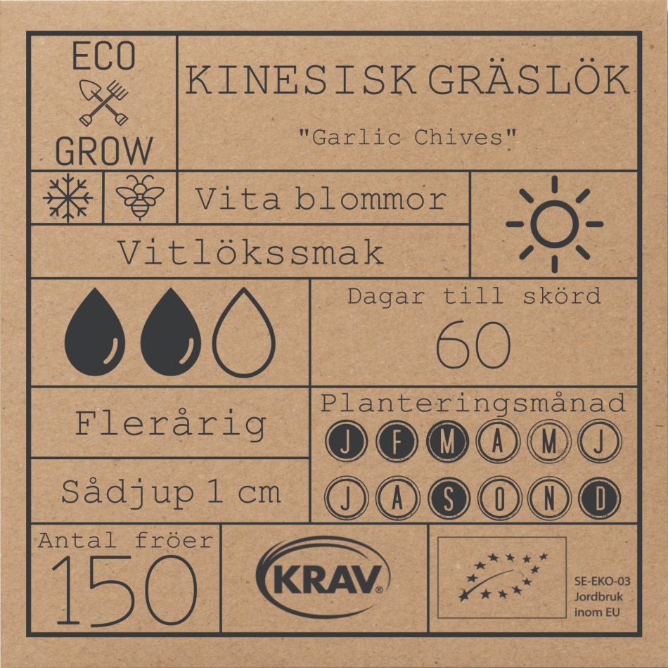 Kinesisk Gräslök - Garlic Chives