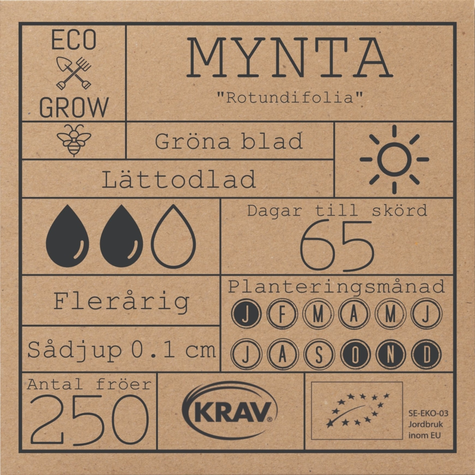 Mynta - Rotundifolia