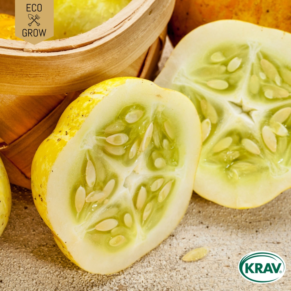 Äppelgurka - Lemon Ekologiska Fröer Online